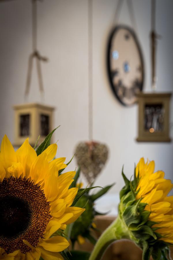 Cracow Location By Cozyplace Appartement Krakau